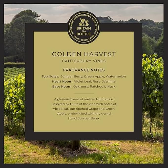 Noble Isle HAND WASH REFILL | LUXURY HAND WASH LIQUID SOAP FOR MEN & WOMEN | ORGANIC VEGAN FRIENDLY, REAL PERFUME, BRITAIN IN A BOTTLE | MADE IN THE UK - 1L REFILL PACK (GOLDEN HARVEST,1L) - Image 2